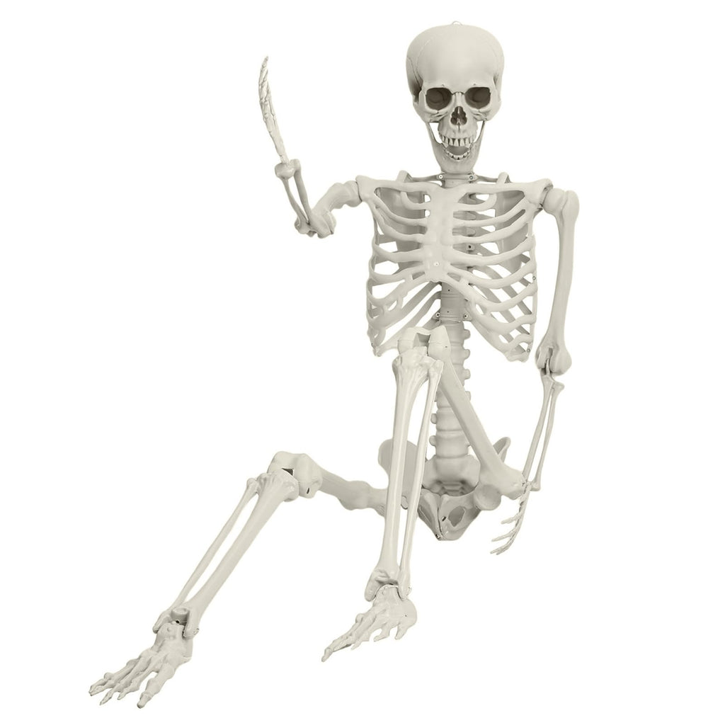 Life Size Posable Skeleton Prop C34453