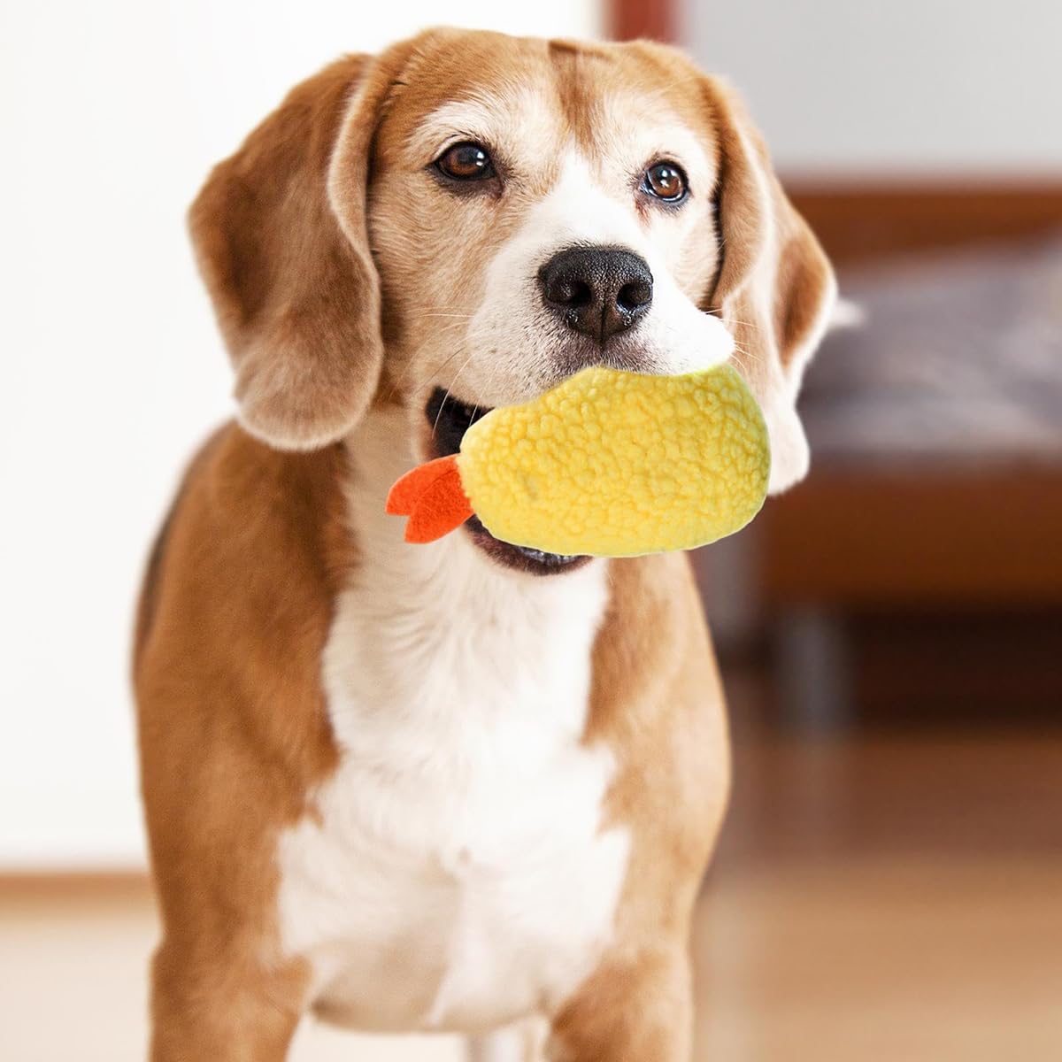 Fried Shrimp Shaped Plush Squeaky Dog & Cat Toy F9446