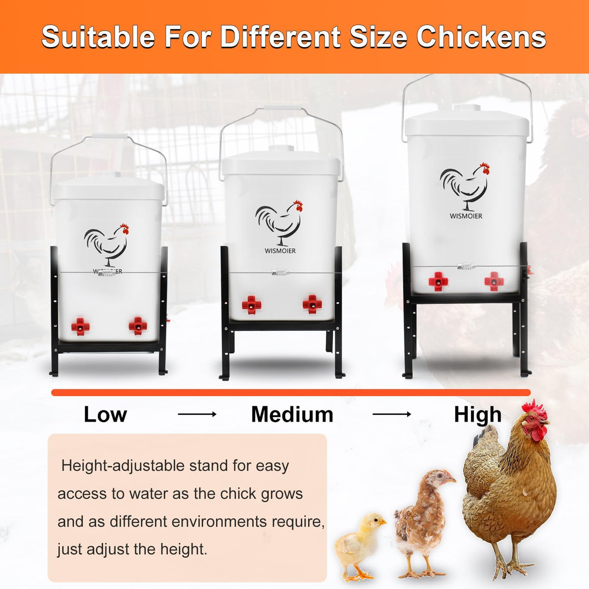 3 Gallon Heated Chicken Waterer W750