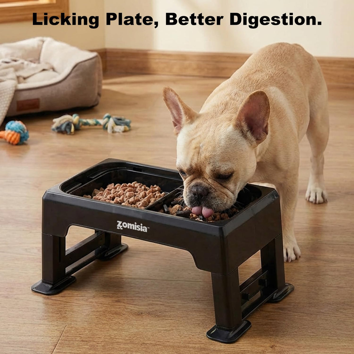 Elevated Dog Bowls with No Spill Water Bowl F873419