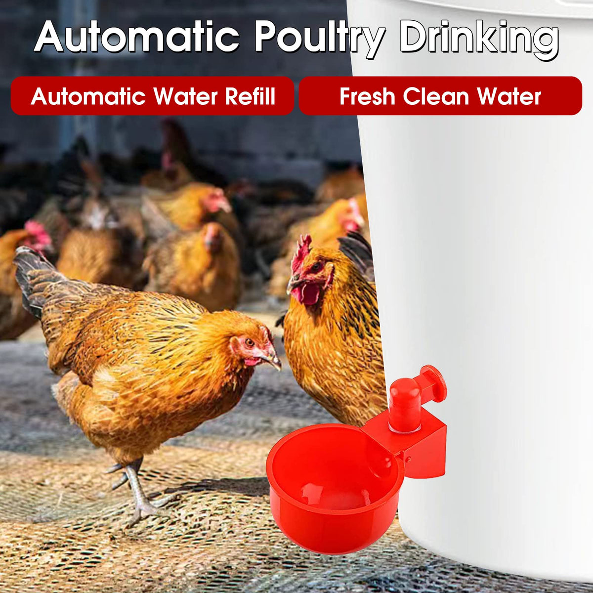 Automatic Poultry Waterer Drinking Bowl W792459