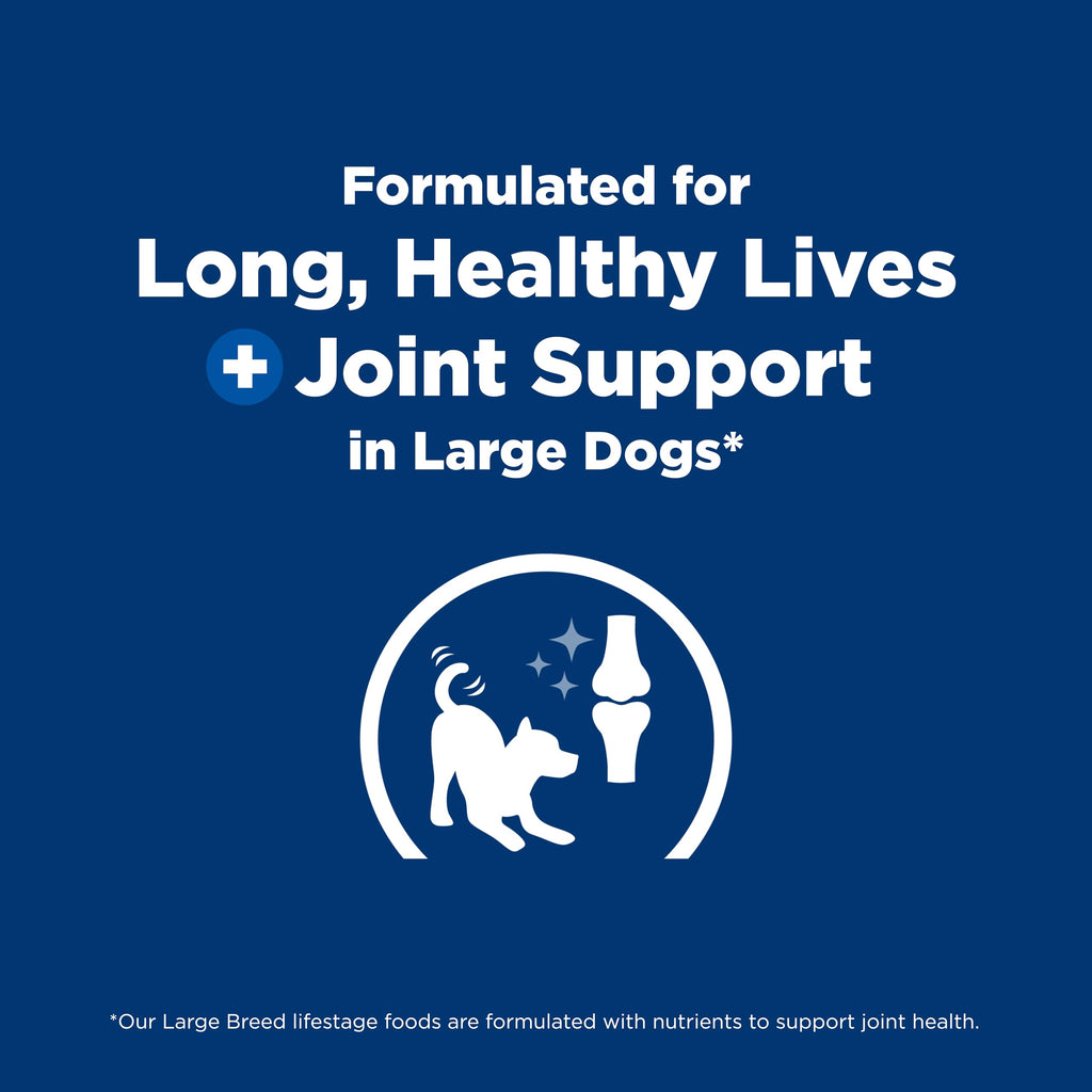 Dry Dog Food R420