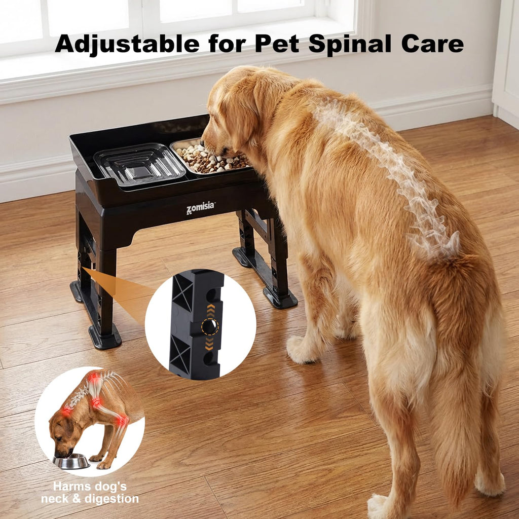 Elevated Dog Bowls with No Spill Water Bowl F873419