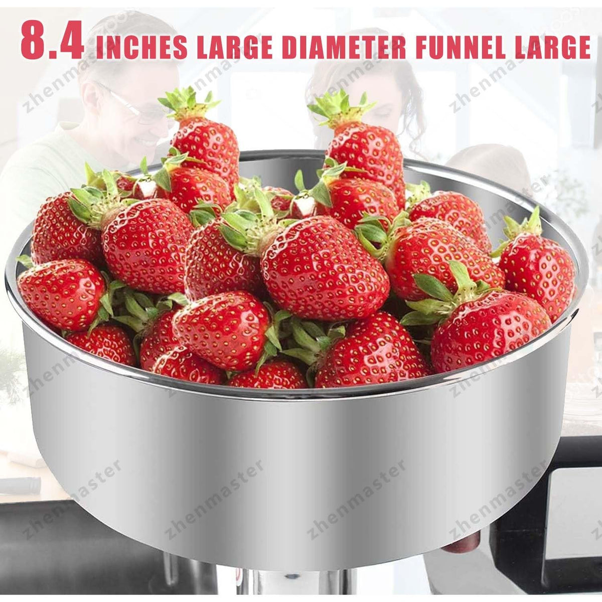 Electric Juicer 450W Stainless Steel R435