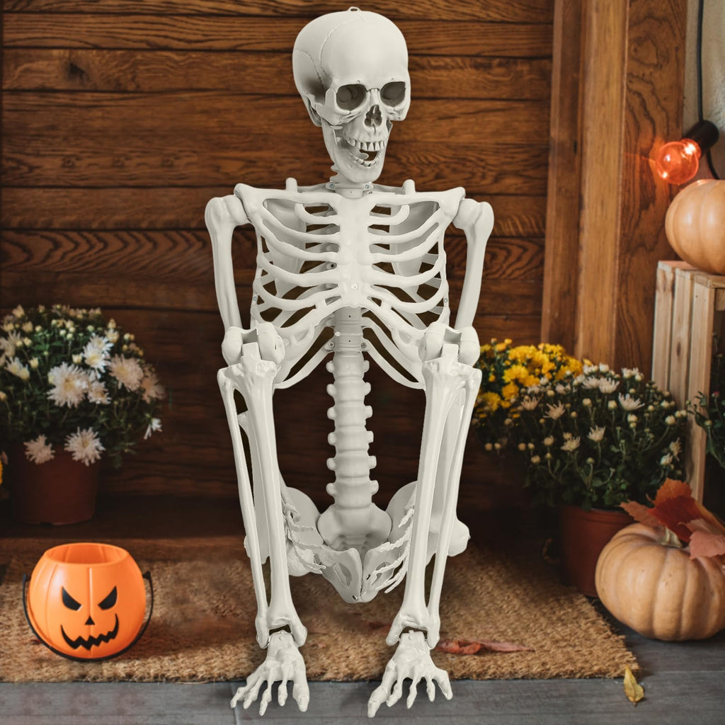 Life Size Posable Skeleton Prop C34453