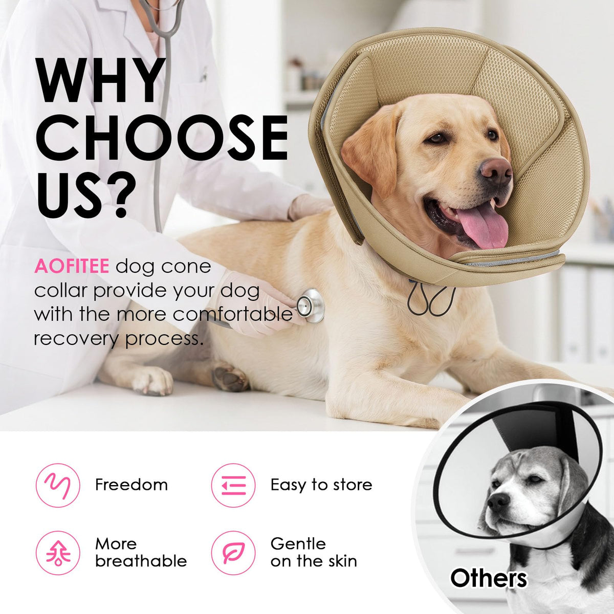 Soft Dog Cone Collar T1960