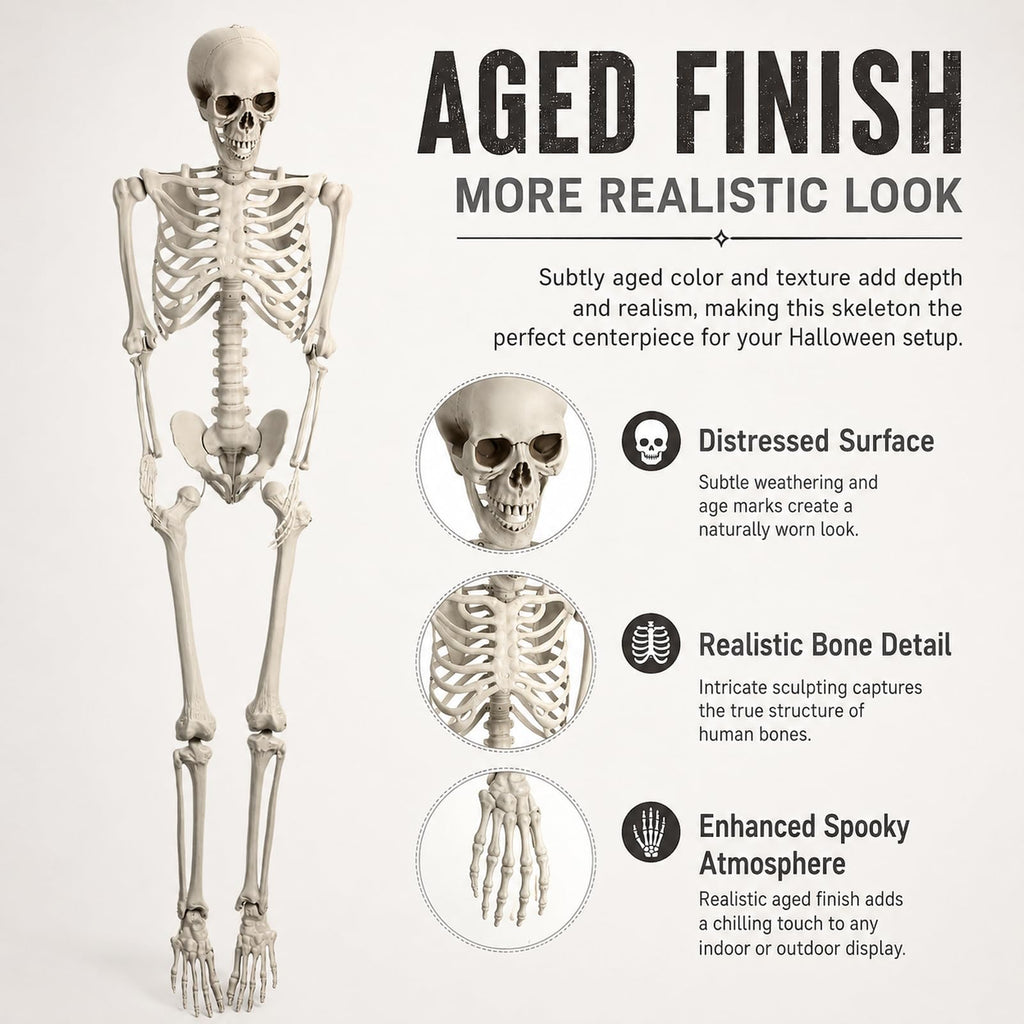 Life Size Posable Skeleton Prop C34453