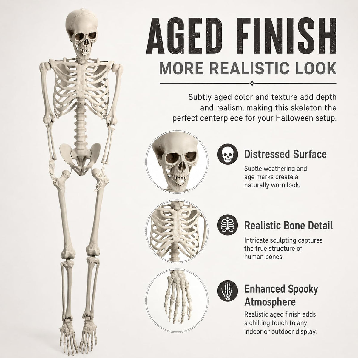Life Size Posable Skeleton Prop C34453