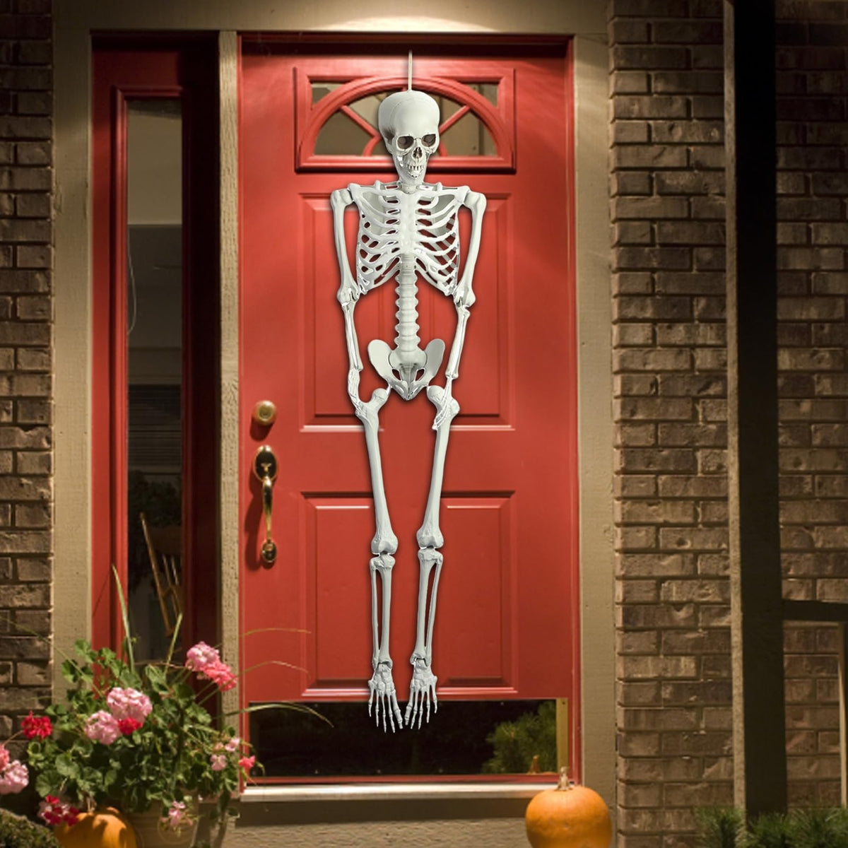 Life Size Posable Skeleton Prop C34453