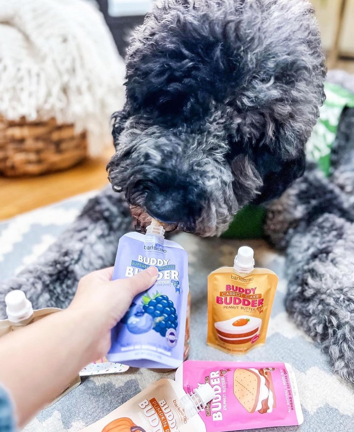 Peanut Butter Dog Treats 3-Pack 4oz Squeeze Packs X13965