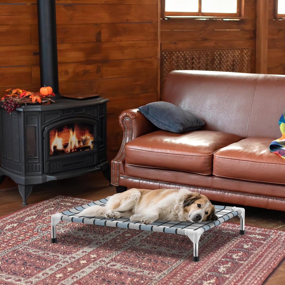Elevated Outdoor Raised Dog Bed A306137