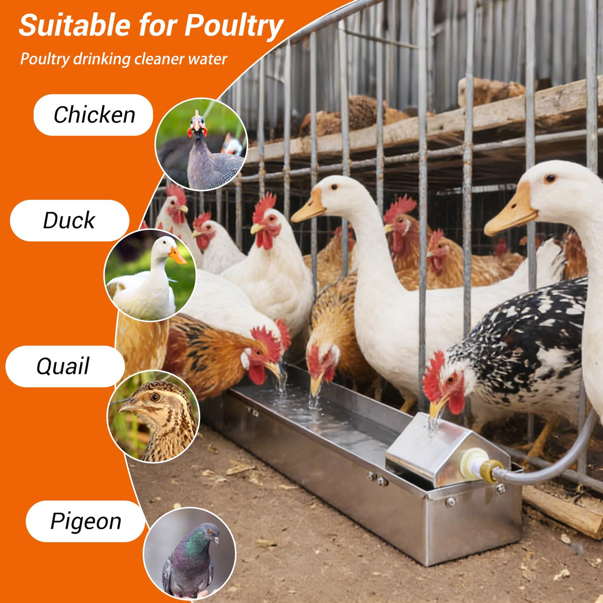 1 Gallon Stainless Metal Automatic Chicken Waterer Dispenser S877