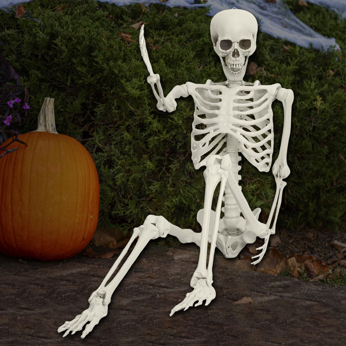 Life Size Posable Skeleton Prop C34453