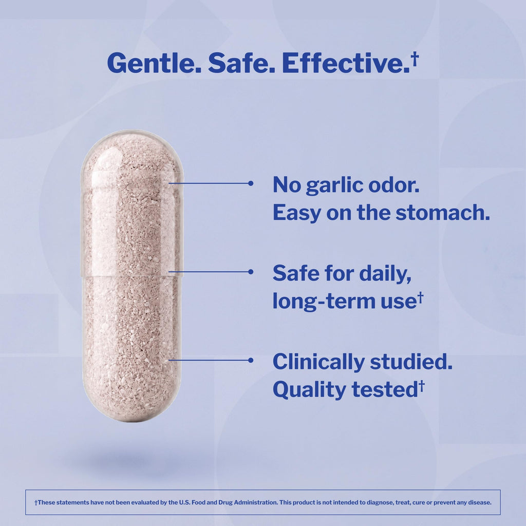 Aged Garlic Extract 300 Capsules X362