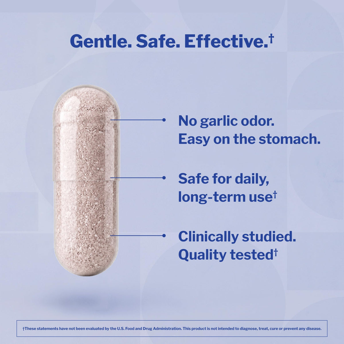 Aged Garlic Extract 300 Capsules X362