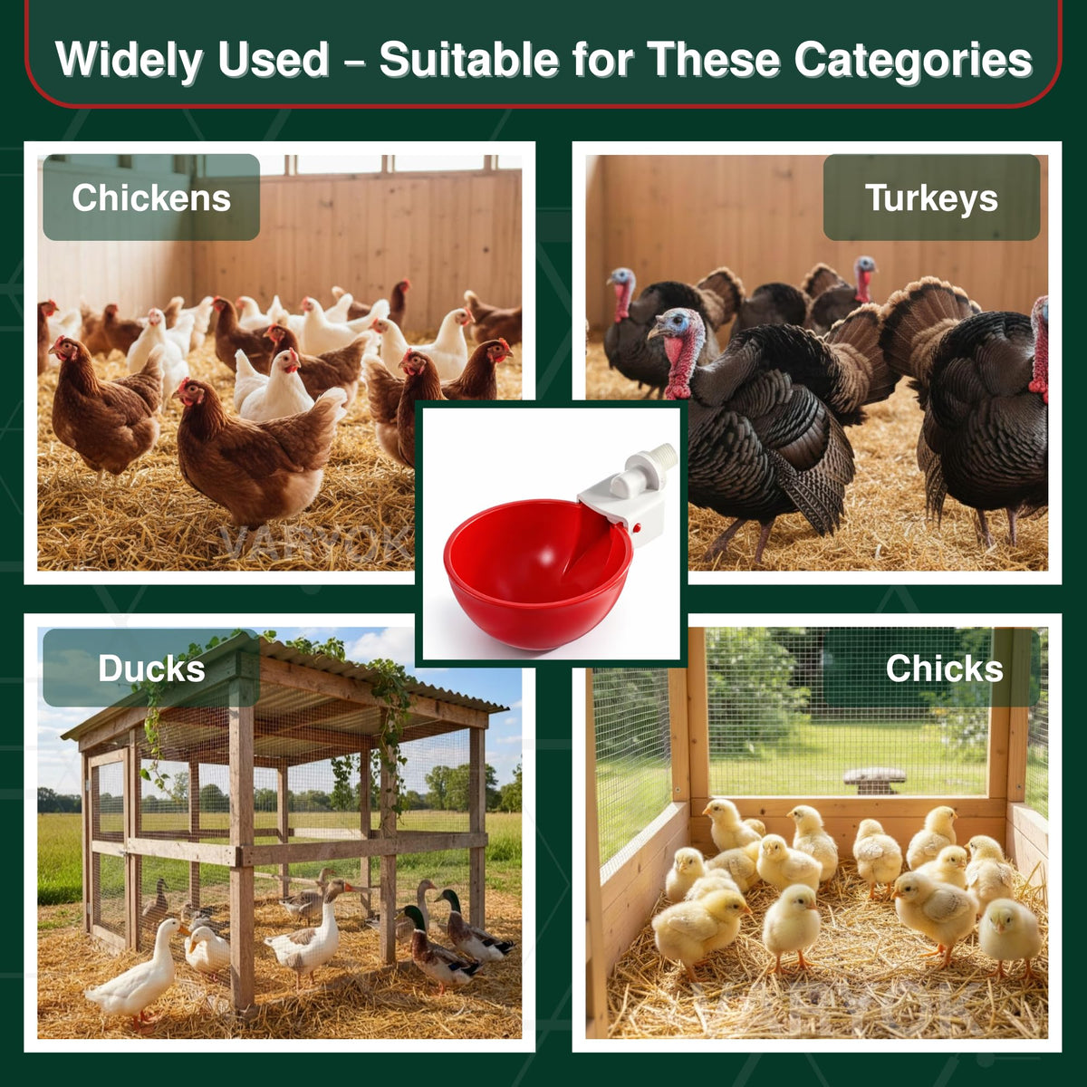 6 Pack Large Chicken Water Cups T33275