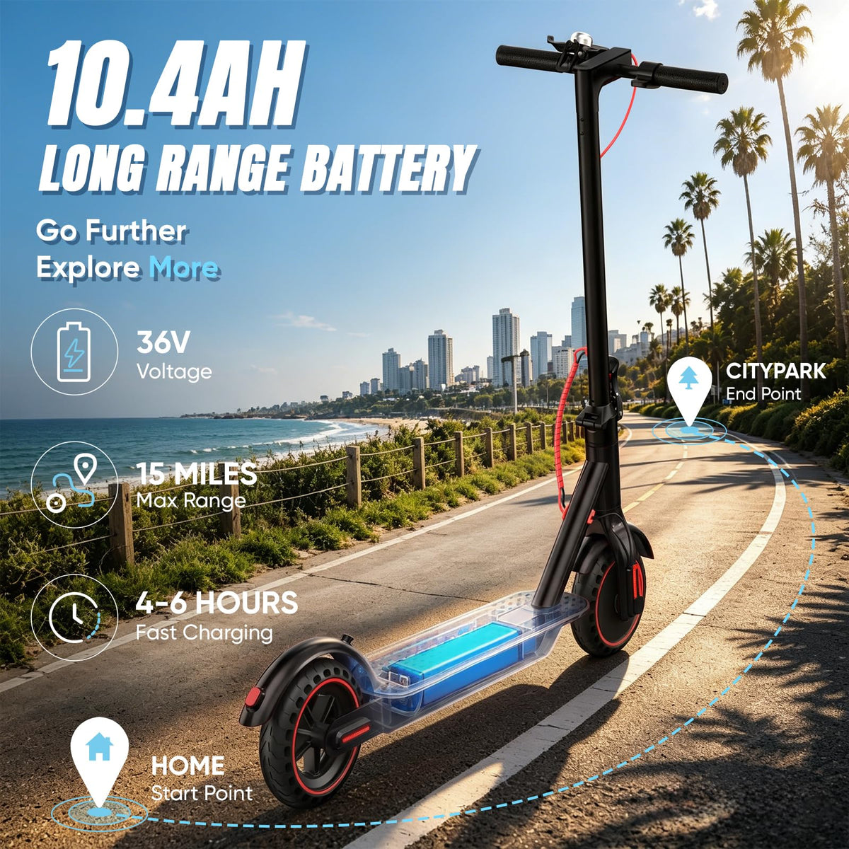 Electric Scooter C6310