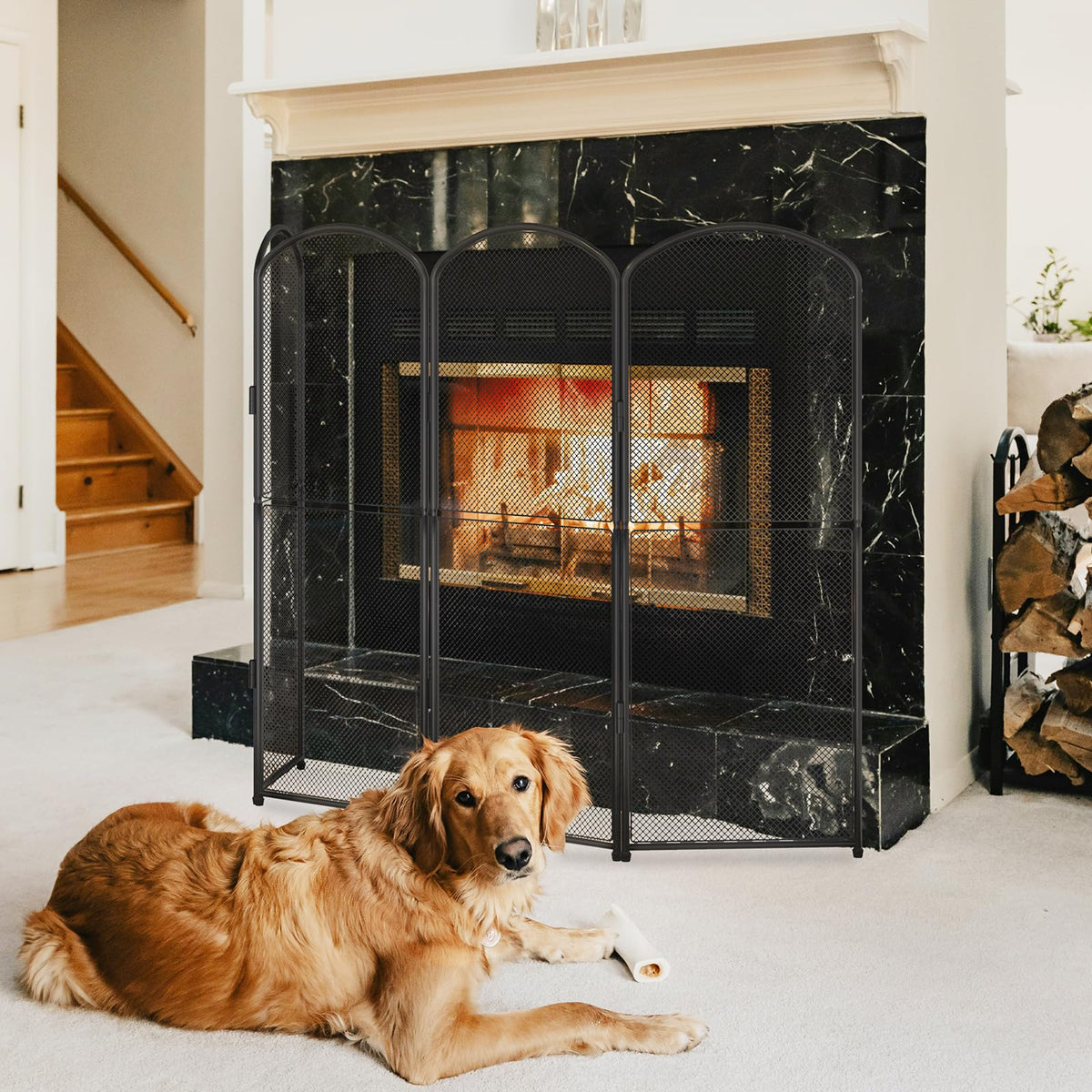 Black Foldable Fireplace Screen W497