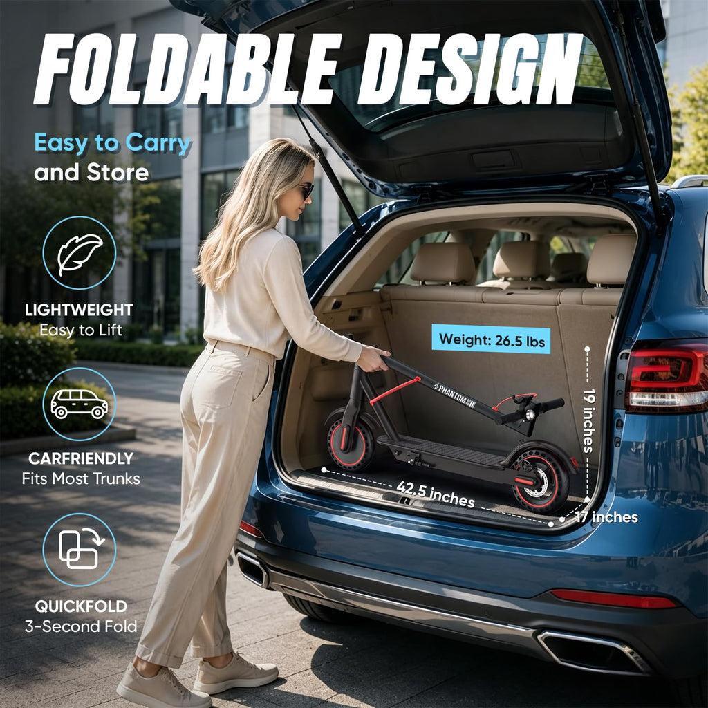 Electric Scooter C6310