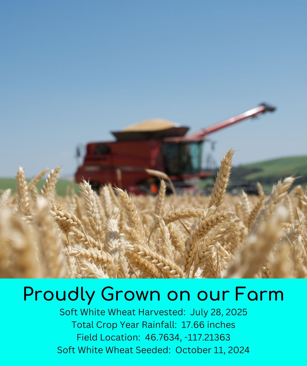 Hard Red Winter and Spring White Wheat Berries 100 LBS P261425