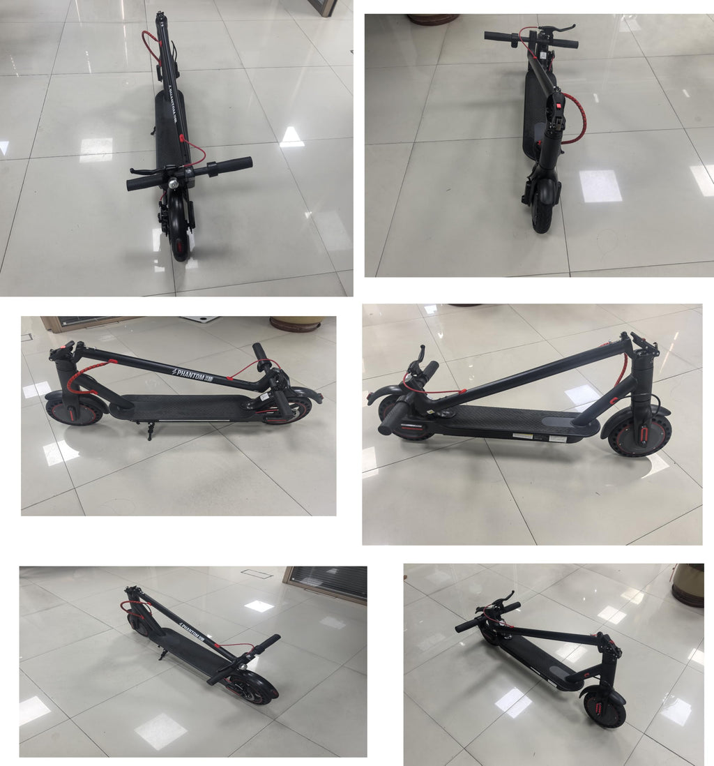 Electric Scooter C6310