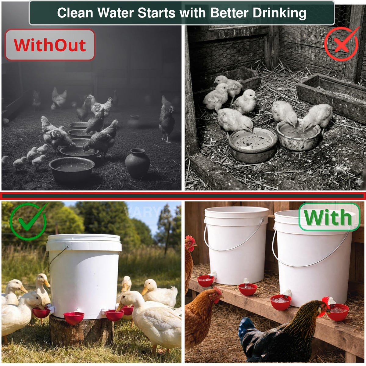 6 Pack Large Chicken Water Cups T33275