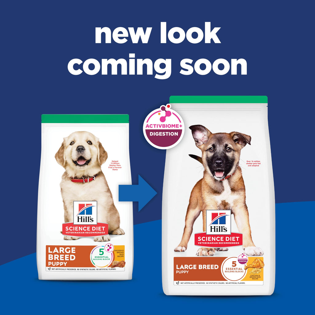 Dry Dog Food R420