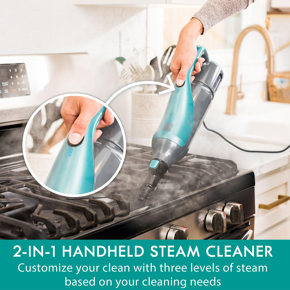 2-in-1 Steam Mop Hard Floor Cleaner R916923