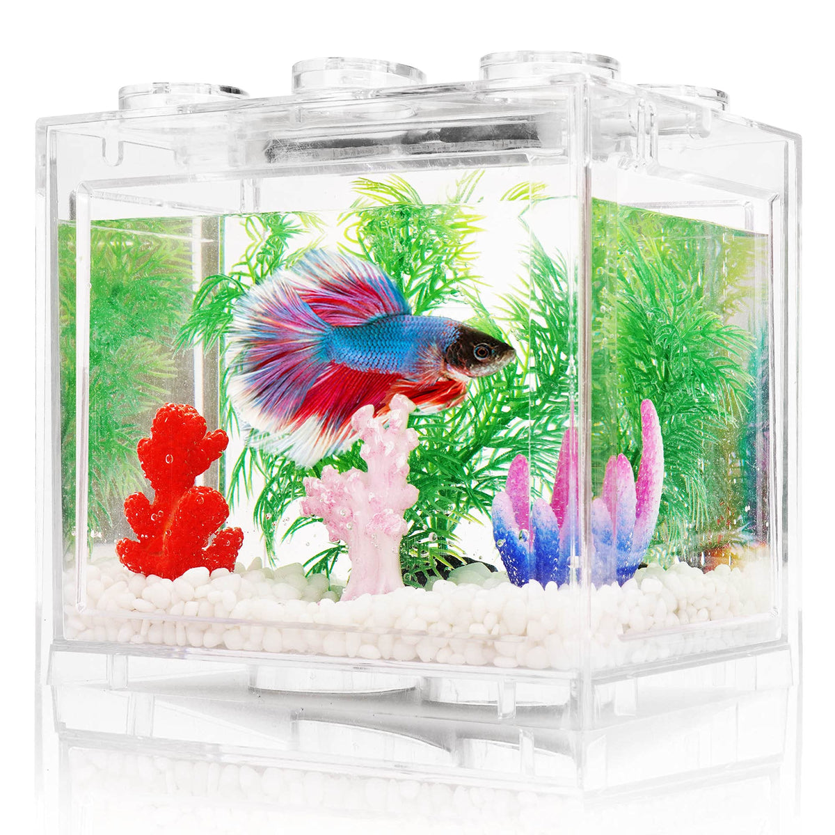 0.6 Gallon Betta Fish Tank Aquarium Kit with LED Lighting E384096