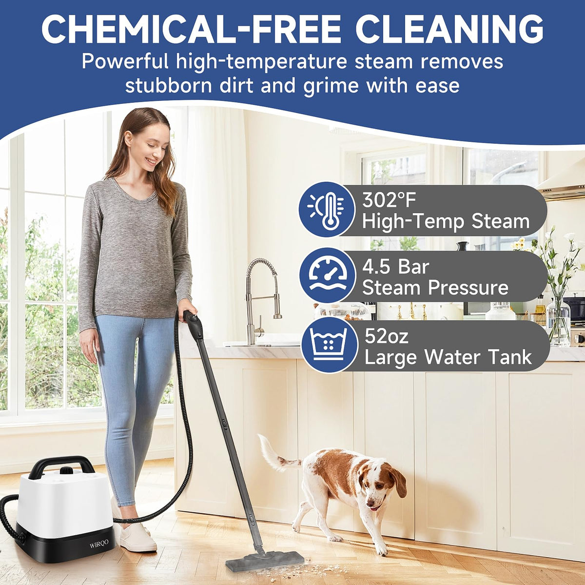 Multipurpose Steam Cleaner K4228