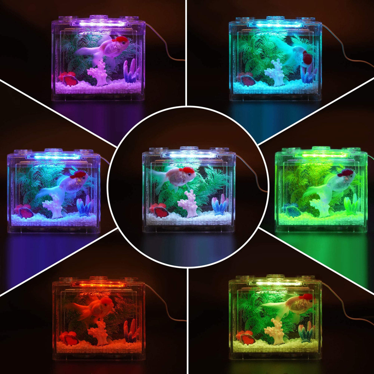 0.6 Gallon Betta Fish Tank Aquarium Kit with LED Lighting E384096