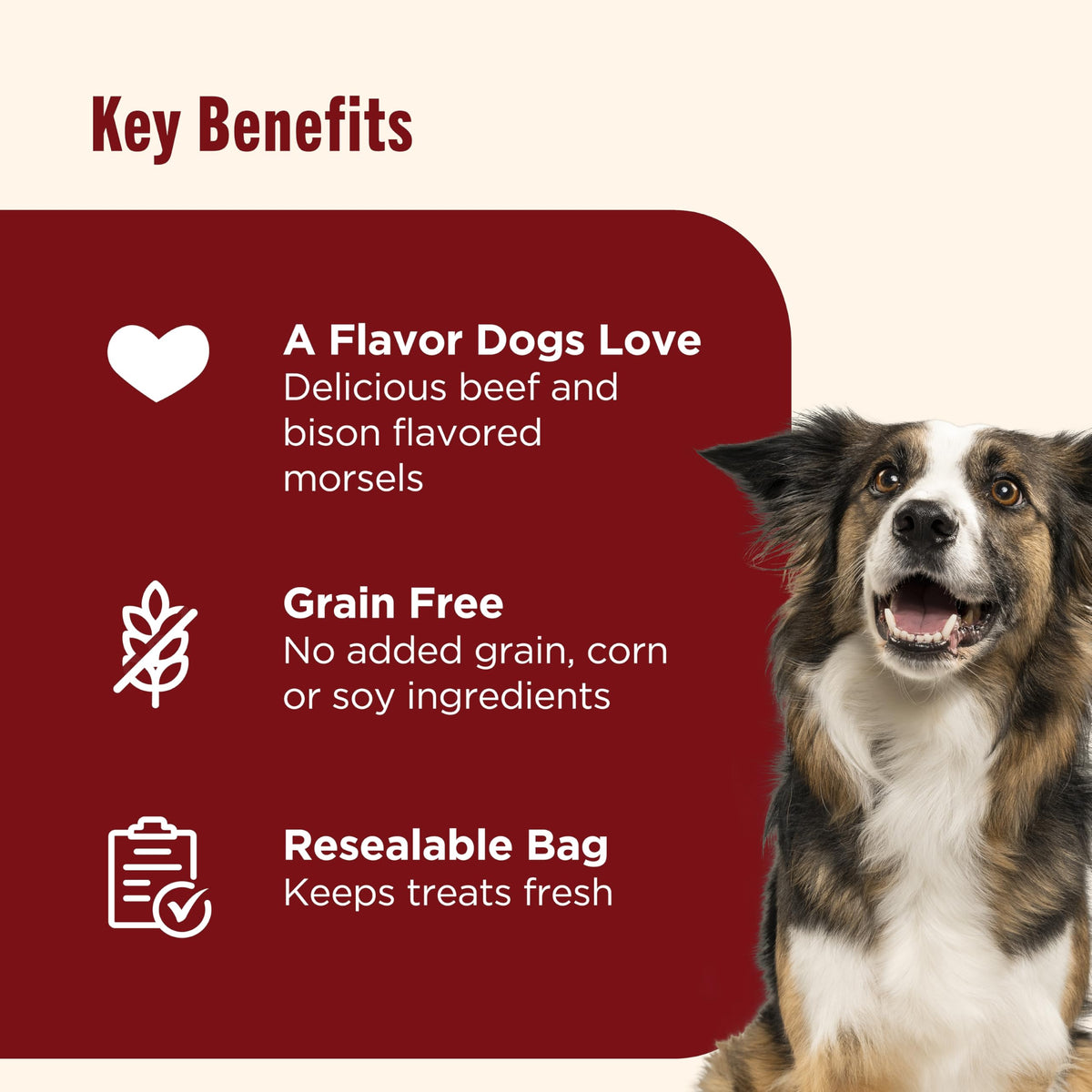 Beef Recipe Dog Treats 12 oz E658383