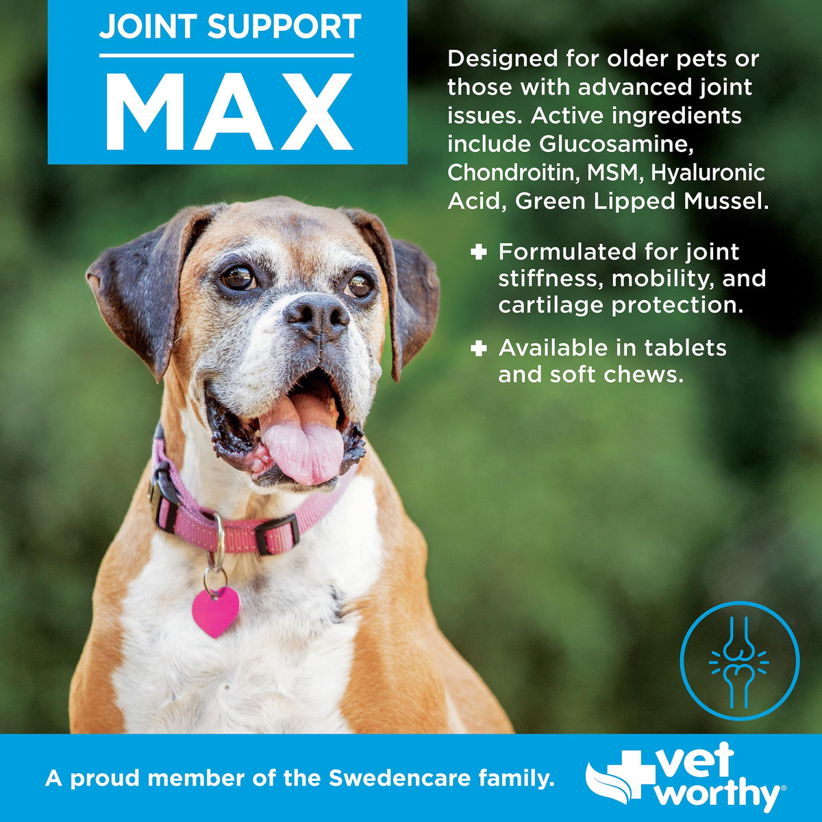Joint Support Soft Chews 60ct C48807