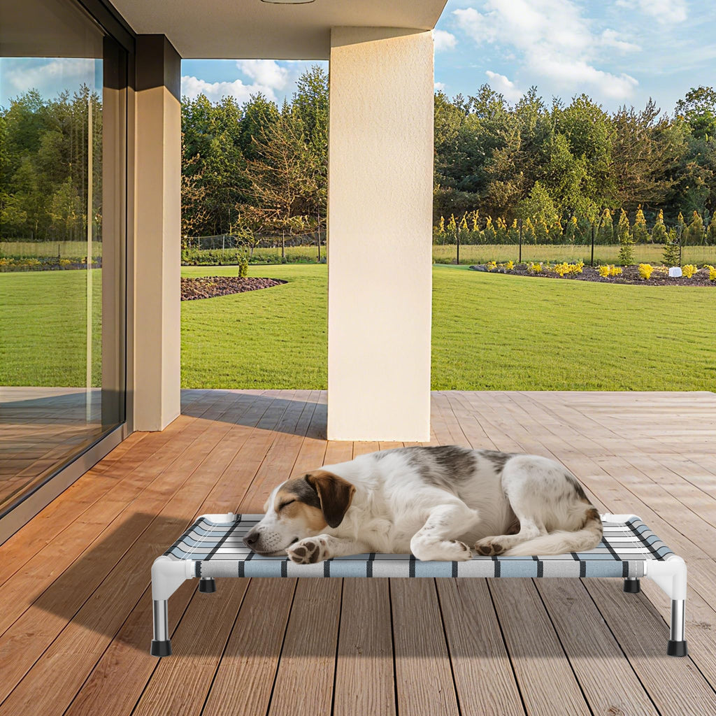 Elevated Outdoor Raised Dog Bed A306137
