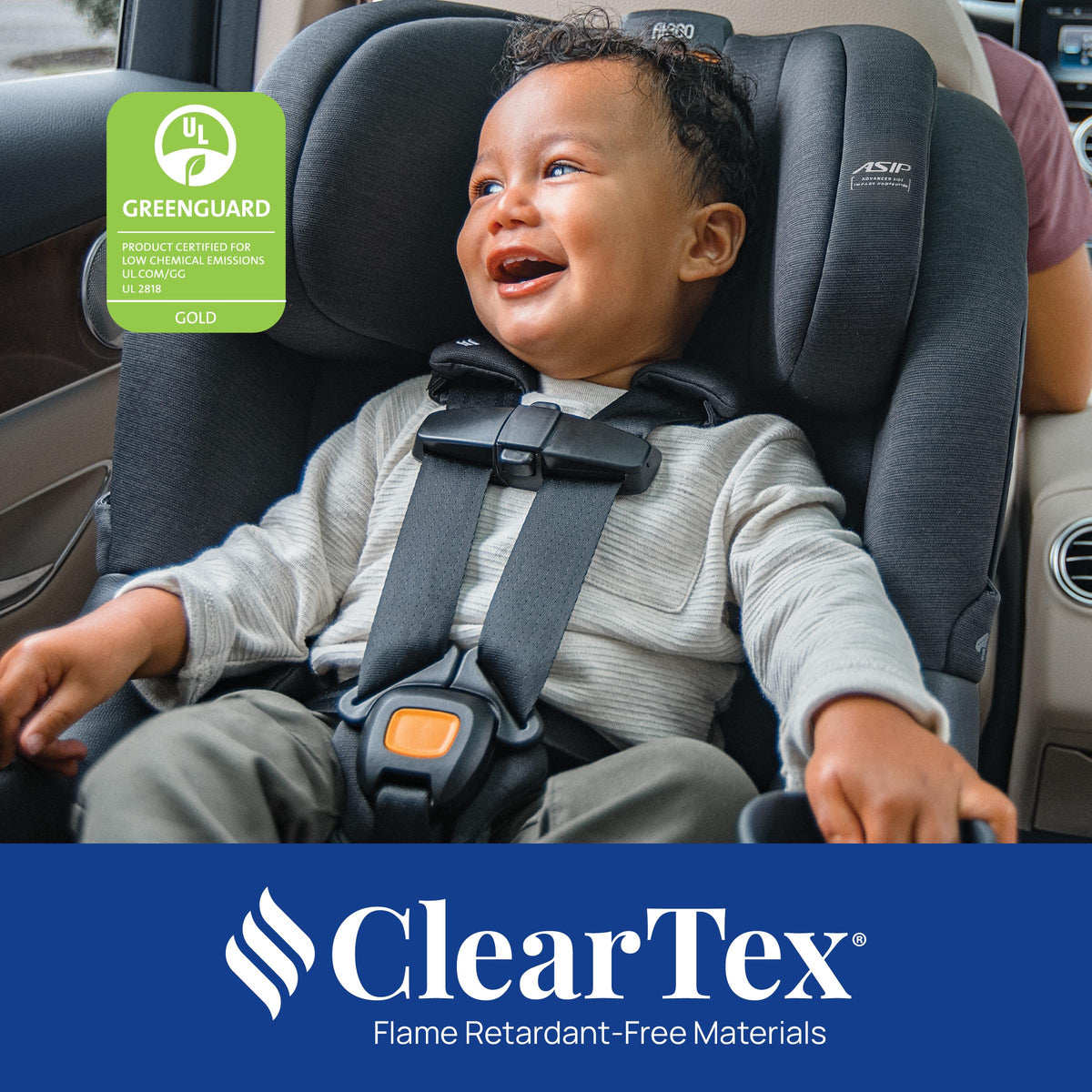 Convertible Car Seat F242590