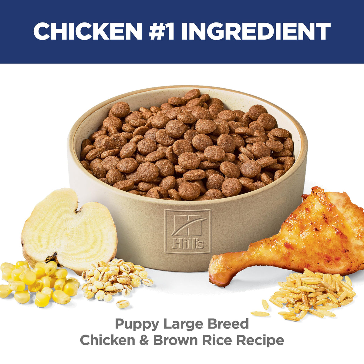 Dry Dog Food R420